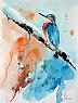 Eisvogel
